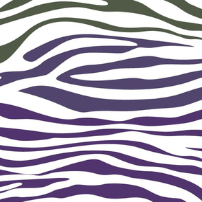 Zebra Purple and Gray