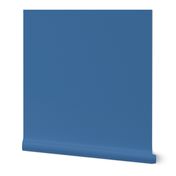 Thief Blue ~ Faux Canvas Solid