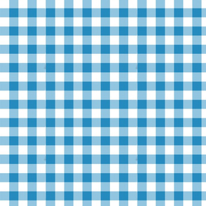 Willow Blue 2 Checks