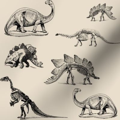 Museum Animals, Dinosaur Skeletons, Dinos in Black and Cream