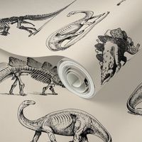 Museum Animals, Dinosaur Skeletons, Dinos in Black and Cream