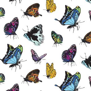 Butterfly Multi