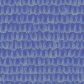 butterfly scales - Karner blue