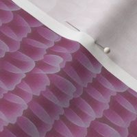 butterfly scales - rose pink