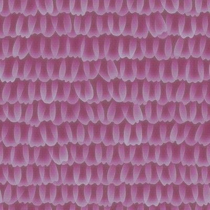 butterfly scales - rose pink