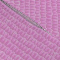 butterfly scales - pale pink