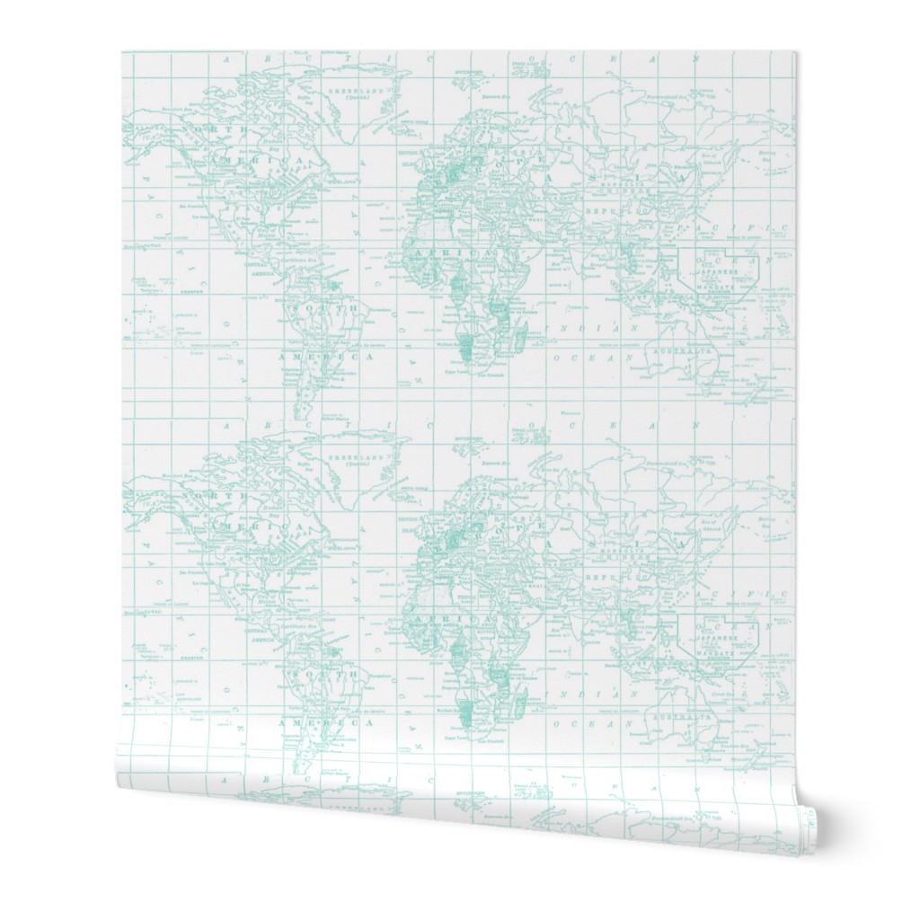 Pantone Teal and White Map