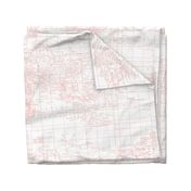 Pantone Pink Map Fabric