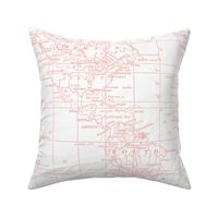 Pantone Pink Map Fabric