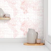 Pantone Pink Map Fabric