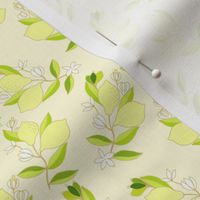 Lemon pattern, 