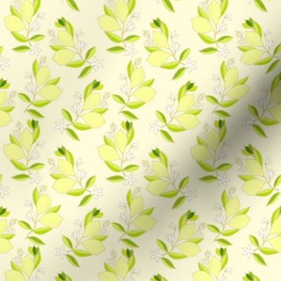 Lemon pattern, 