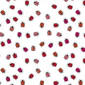 ladybugs