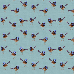Russet Blue Wrens on Linen Blue