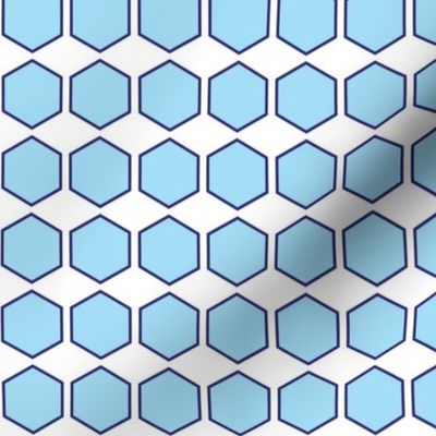 Blue Hexagon Print