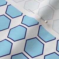 Blue Hexagon Print