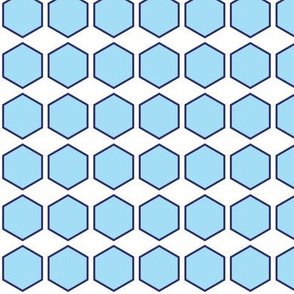 Blue Hexagon Print