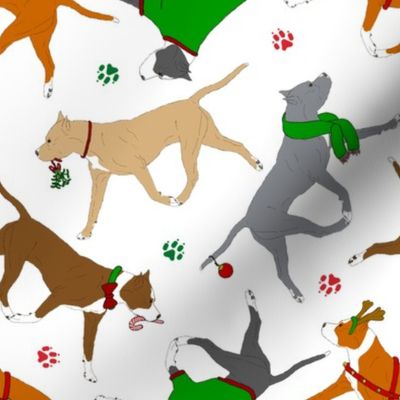 Trotting American Staffordshire Terriers - white Christmas