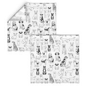 dogs // black and white hand drawn dog illustration cute dogs pet dogs 