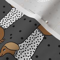 dachshund // doxie sausage dog cute dots cute dog pet dog breed fabric