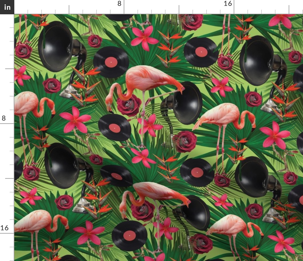 fun flamingos