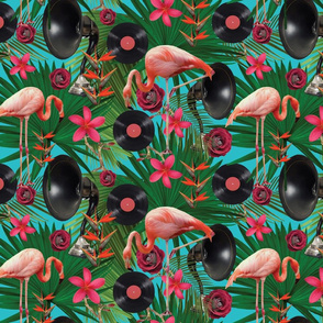 flamingos on teal