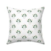 Shamrock Bouquet on White // standard