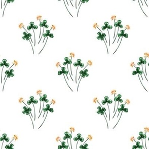 Shamrock Bouquet on White // standard