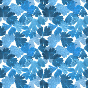 BLUE LEAF