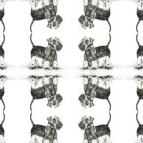 Cesky Terrier White Background Small repeat