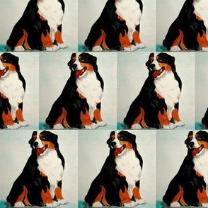 Bernese Mountain Dog - Different Repeat