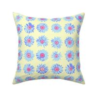 crazy daisy - summercolors pink and blue on cream