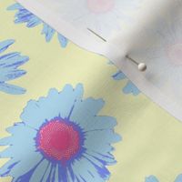 crazy daisy - summercolors pink and blue on cream