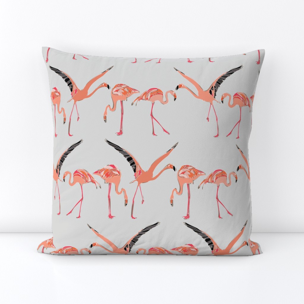 winter flamingos