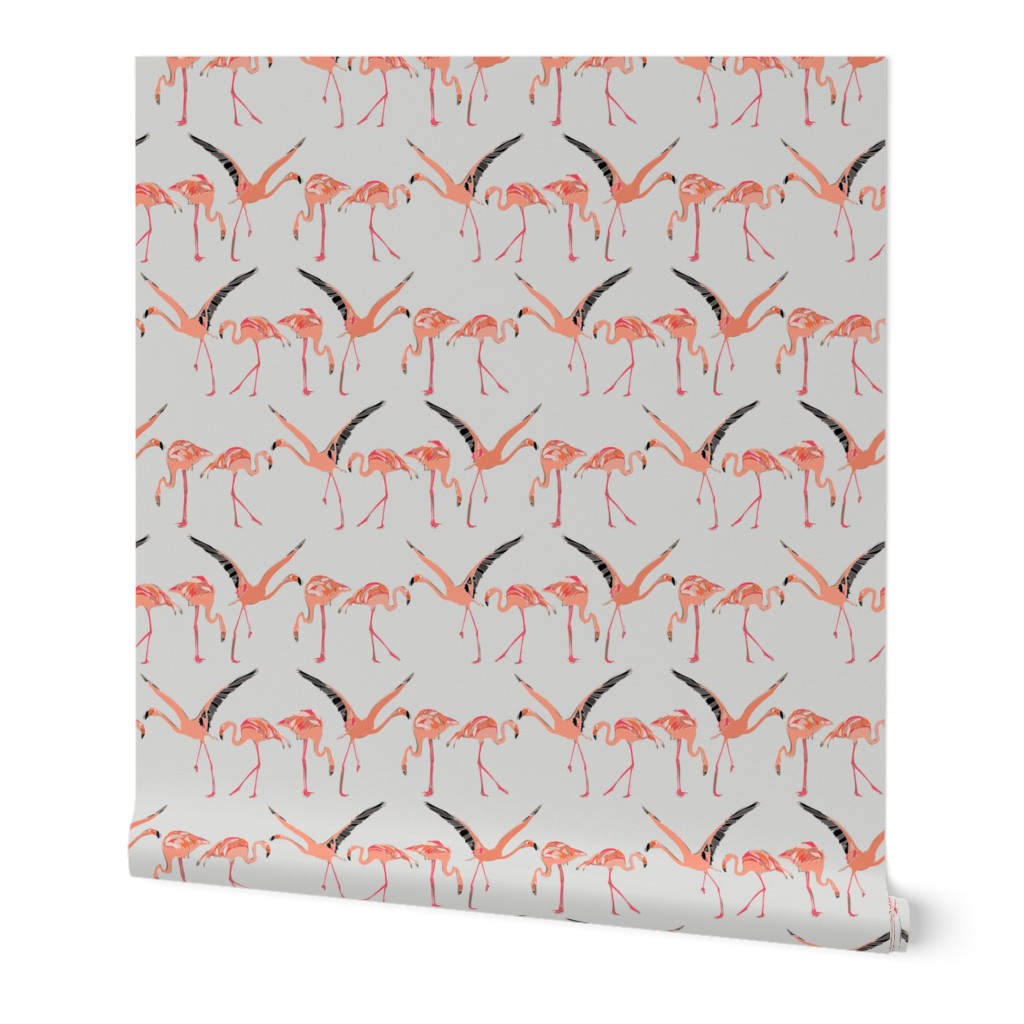 winter flamingos