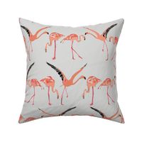 winter flamingos