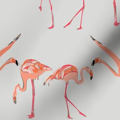 winter flamingos