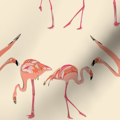 vanilla flamingos