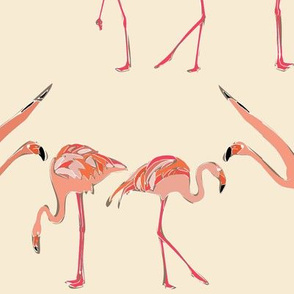 vanilla flamingos