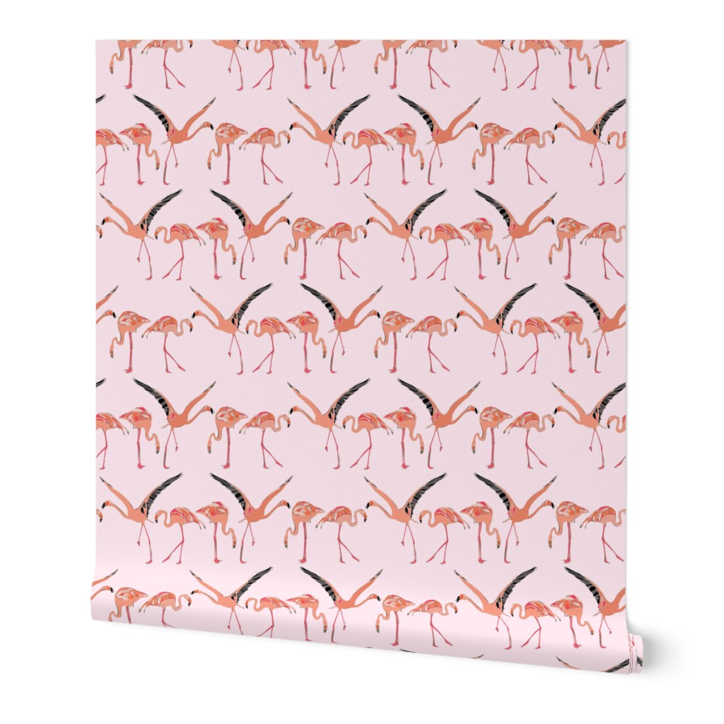 blossom flamingos