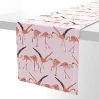 blossom flamingos