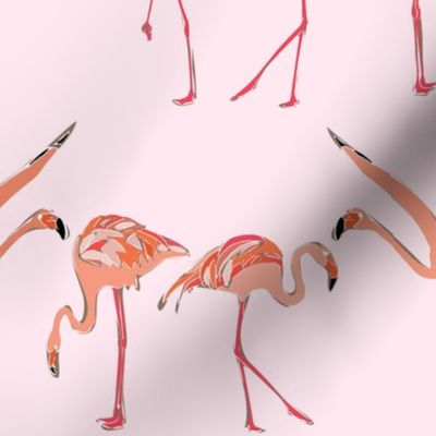 blossom flamingos