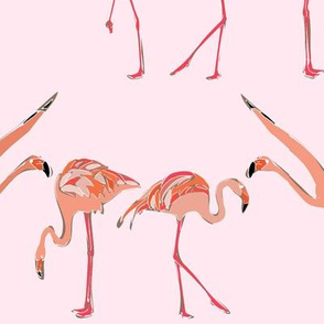 blossom flamingos