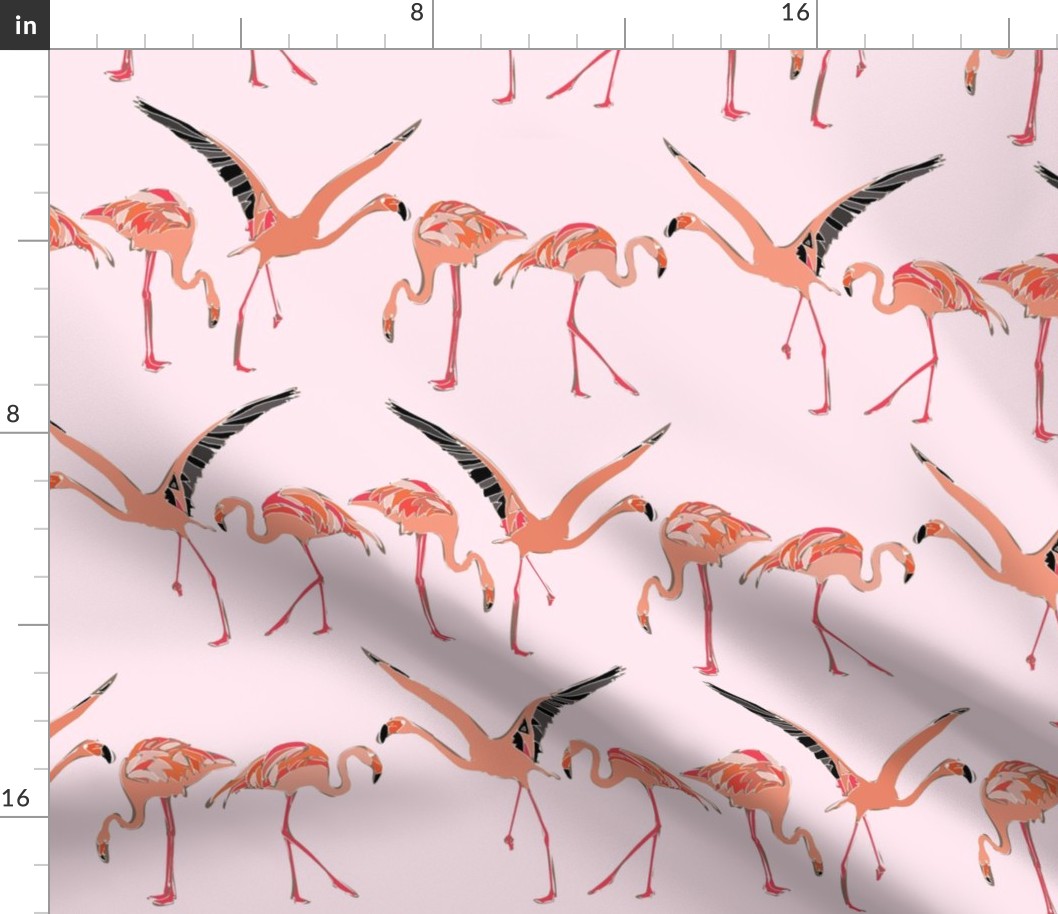 blossom flamingos