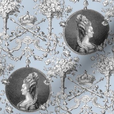 Marie Antoinette Medallion Swag ~ Versailles Fog 