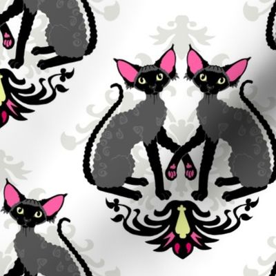 Devon Rex Cat Damask