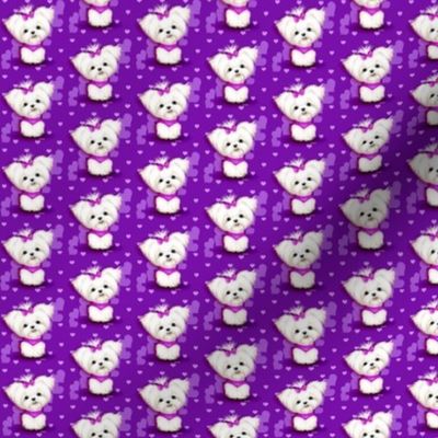 Maltese purple hearts smaller print