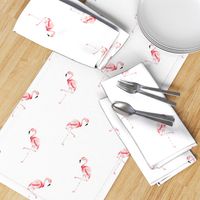 flamingos_2