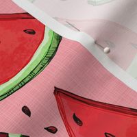 Watermelon on pink (texture)