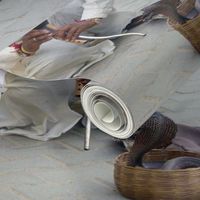 Snake Charmer in Rajasthan